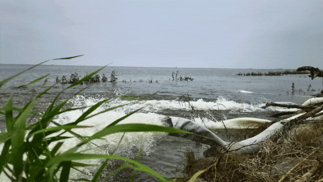 2025070175945037.gif 4.gif